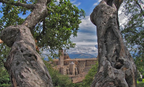 Umbria - Urbino